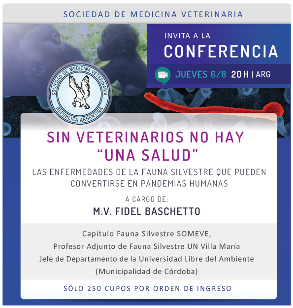 web Conferencia SOMEVE