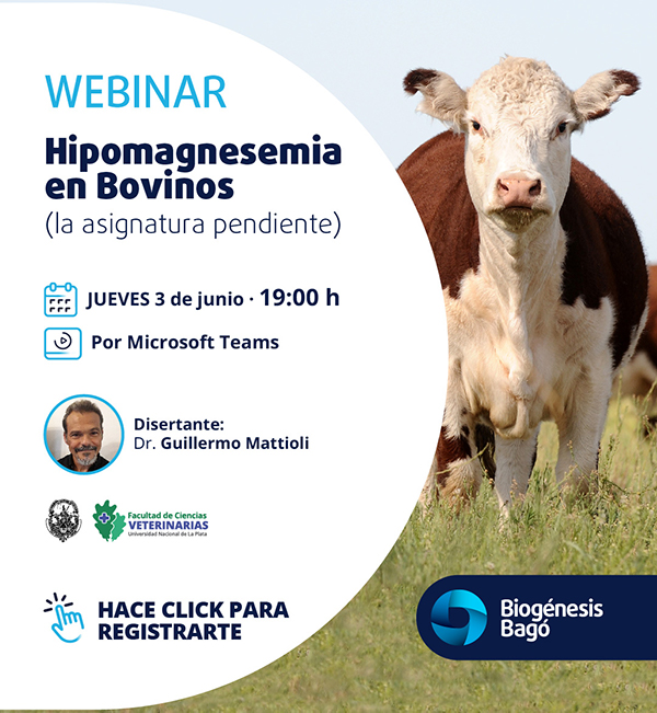 BB IG WEBINAR 3 junio 2021 mchimp