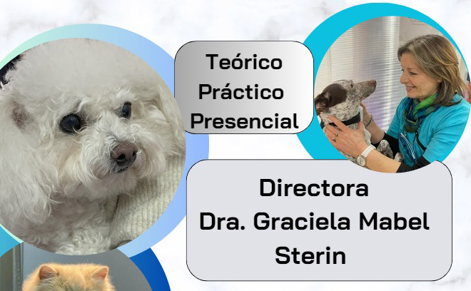 Curso Intensivo de Terapia Física en pequeños animales - 28/11 al 7/12