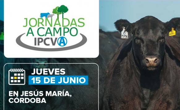 15 de junio: Jornada a Campo del IPCVA en Jesús María