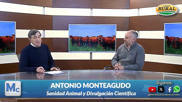 Identificación digital en Animales de Compañía