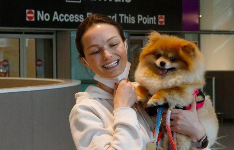 American Airlines cambió las reglas de mascotas y bolsos en sus vuelos