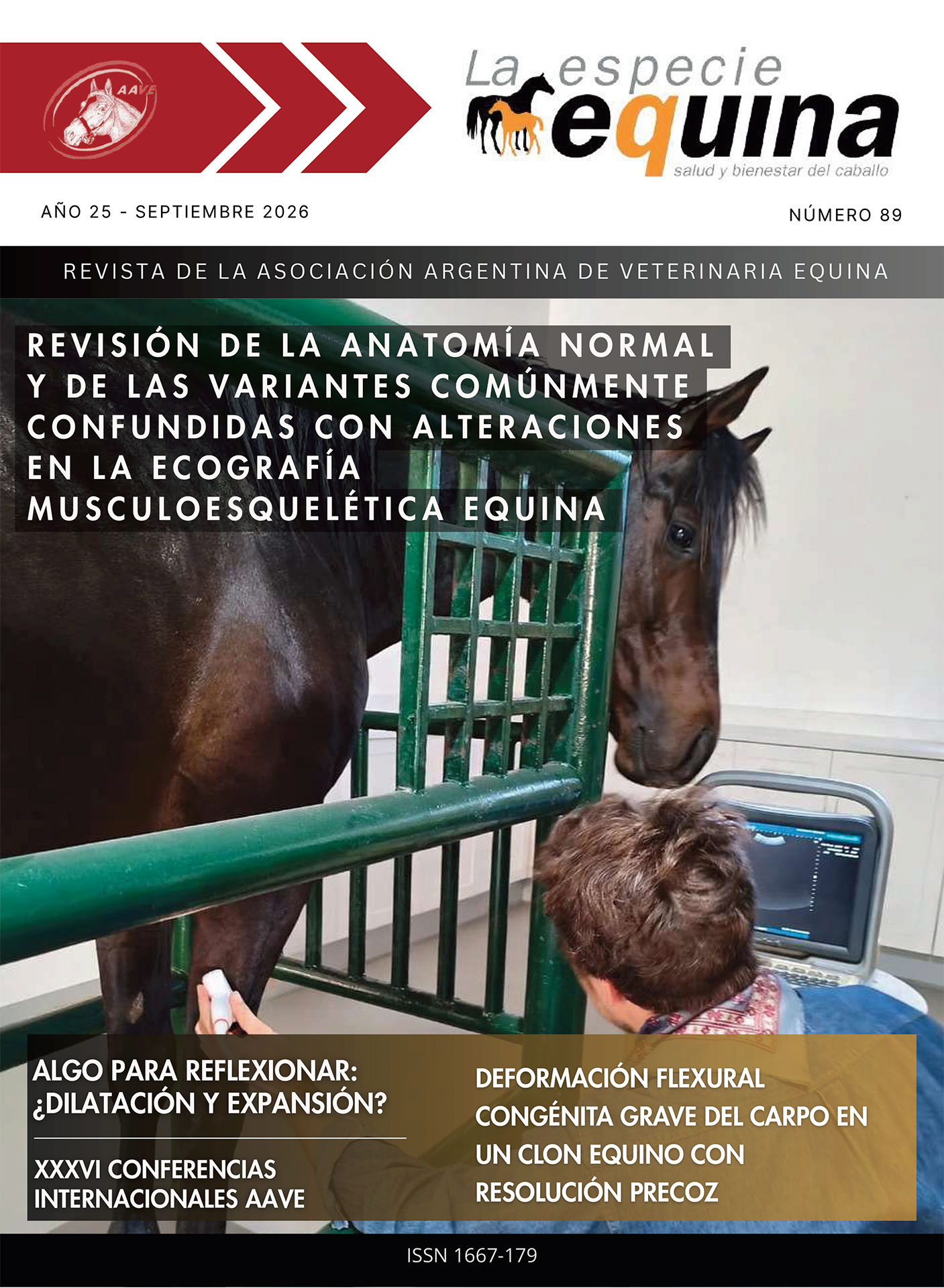 La Especie Equina 89