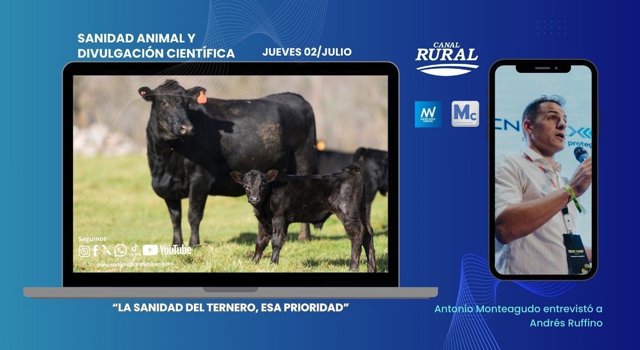 LA PRIORIDAD DE LA SANIDAD DEL TERNERO