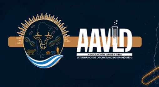 Seminario AAVLD
