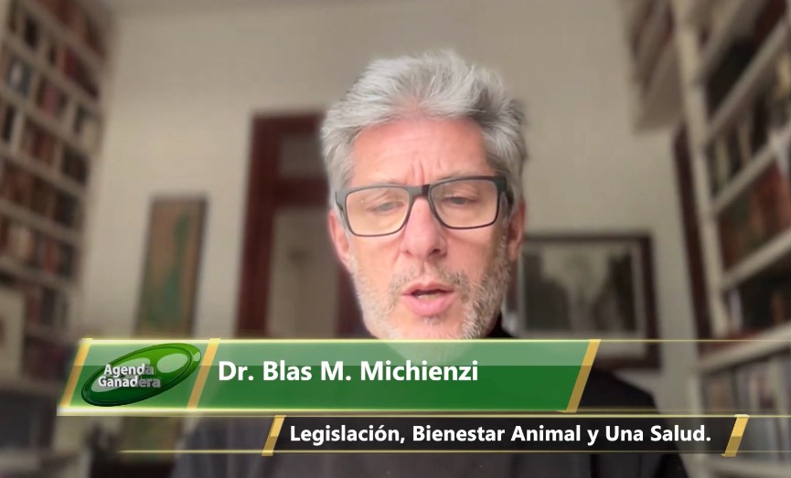 Agenda Ganadera Dr. Blas Michienzi